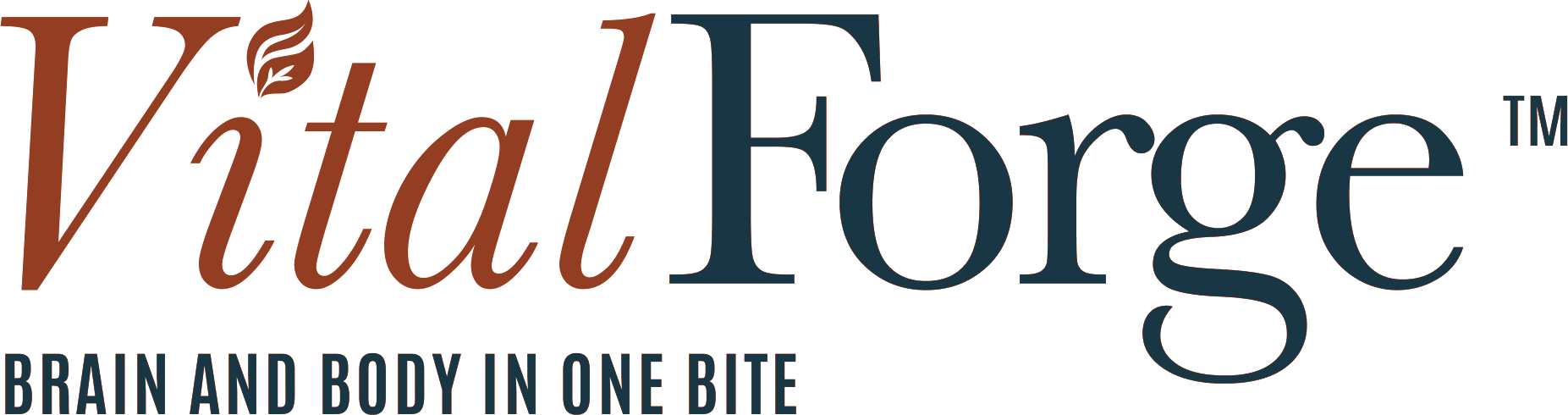VitalForge — Brain and Body in One Bite